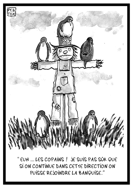40.gif