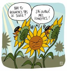 tournesol.jpg, jan 2012 tournesol.jpg